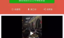 wwwwxxxx视频,探索其背后的故事与意义