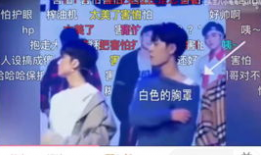 cp吃瓜直播娱乐圈,CP吃瓜直播，揭秘明星幕后故事